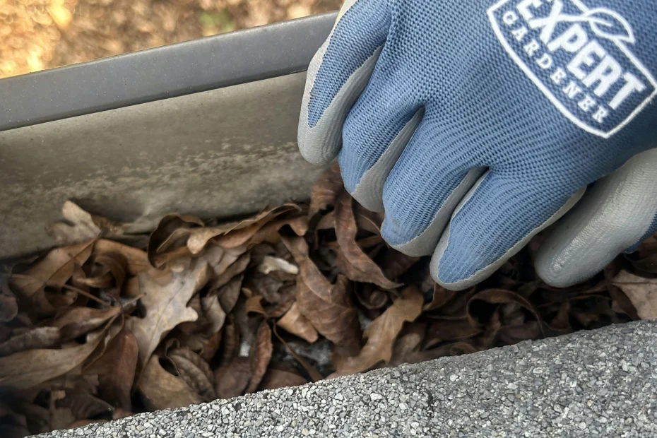 Gutter Cleaning Indianapolis IN