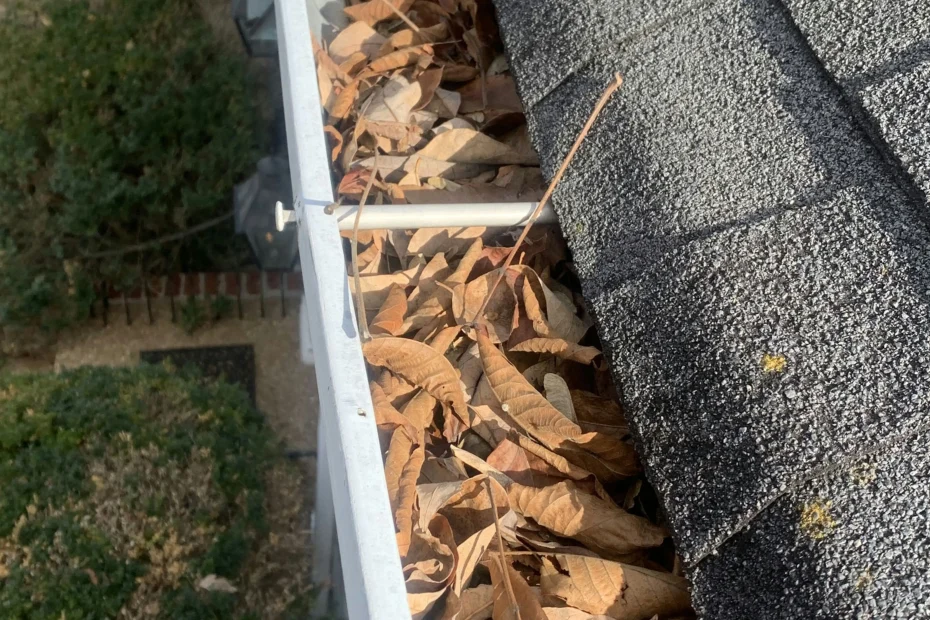 Gutter Cleaning Indianapolis IN