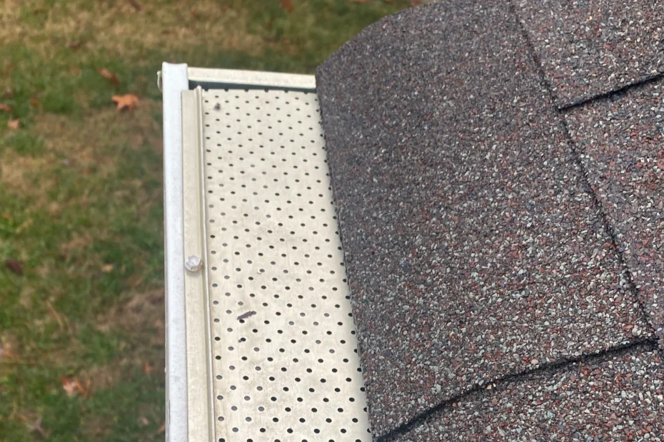 Gutter Cleaning Indianapolis IN